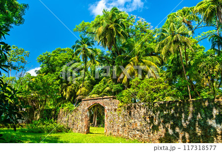 Old ruins of notorious penal colony in Saint Joseph Island, Salvation Islands, French Guiana Old ruins of notorious penal colony in Saint Joseph Island, Salvation Islands, French Guiana 117318577