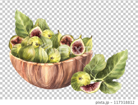Ripe figs fruit with leaves in wooden bowl Picked whole and cut fruit harvest. Food, plant snack. Watercolor Clipart for label, price tag, dessert menu Hand drawn illustration Isolated from background 117318812