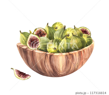 Ripe figs fruit in wooden bowl Picked whole and cut fruit harvest. Food, plant sweet snack. Watercolor Clipart for label, price tag, delicious dessert. Hand drawn illustration Isolated from background Ripe figs fruit in wooden bowl Picked whole and cut fruit harvest. Food, plant sweet snack. Watercolor Clipart for label, price tag, delicious dessert. Hand drawn illustration Isolated from background 117318814