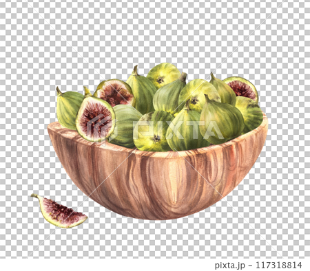 Ripe figs fruit in wooden bowl Picked whole and cut fruit harvest. Food, plant sweet snack. Watercolor Clipart for label, price tag, delicious dessert. Hand drawn illustration Isolated from background 117318814