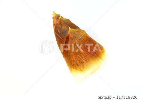 タケノコ　たけのこ　竹の子　筍 117318820