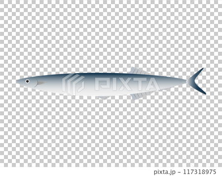 秋天的味道,生秋刀魚 秋天的味道,生秋刀魚 117318975