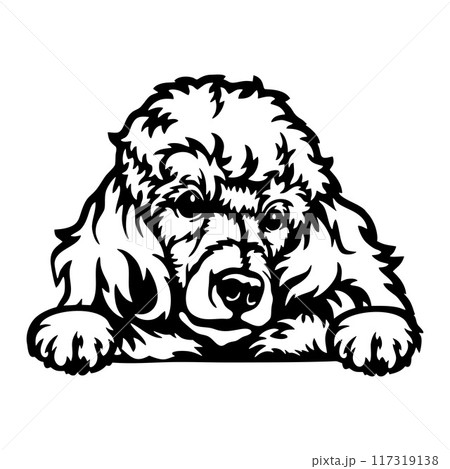 Peeking Poodle - Dog lover owner gift - Dog cut file - Peeking Dog Cut Stencil Peeking Poodle - Dog lover owner gift - Dog cut file - Peeking Dog Cut Stencil 117319138