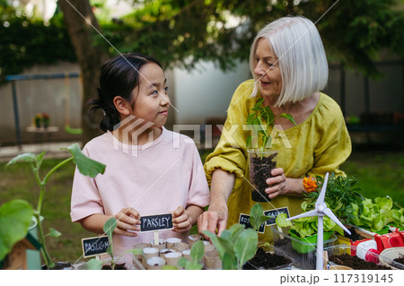 Girl student growing vegetable and herb seedlings, teacher helping her. Outdoor sustainable education class in school garden. Concept of experiential learning and ecoliteracy. 117319145