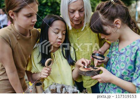 Children looking at models of insect, learning about wildlife during outdoor sustainable educational class. Children looking at models of insect, learning about wildlife during outdoor sustainable educational class. 117319153