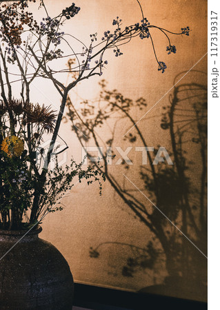 ライトアップあされた生け花とその陰 117319317