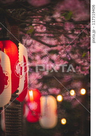 桜 さくら サクラ 117319406