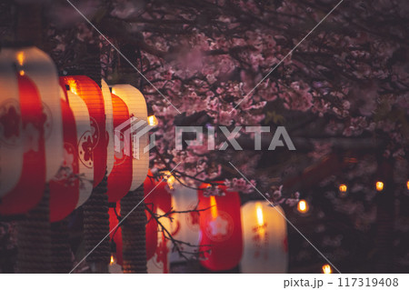 桜 さくら サクラ 117319408