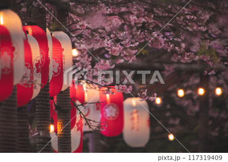 桜 さくら サクラ 117319409