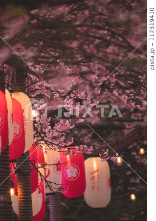 桜 さくら サクラ 117319410