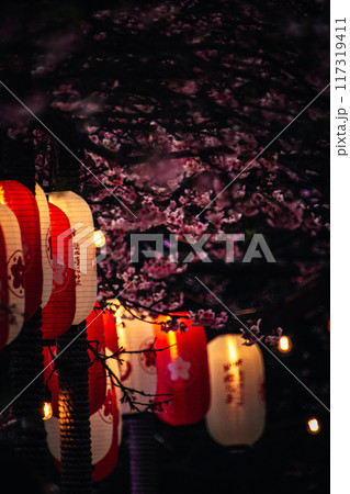 桜 さくら サクラ 117319411