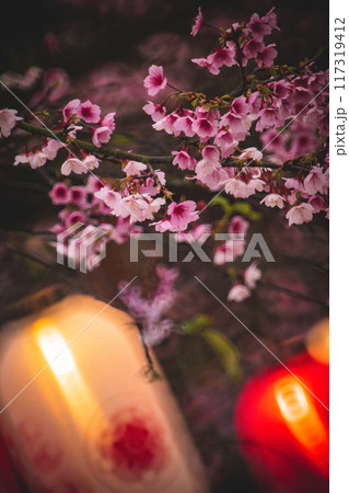 桜 さくら サクラ 117319412