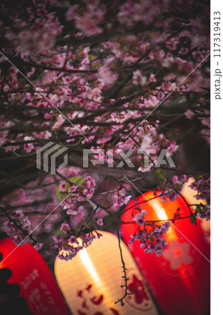 桜 さくら サクラ 117319413