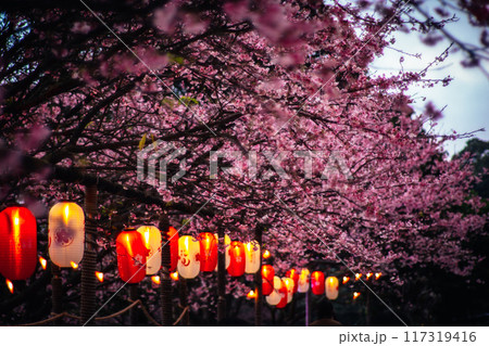 桜 さくら サクラ 117319416