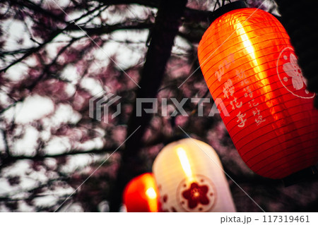 桜 さくら サクラ 117319461