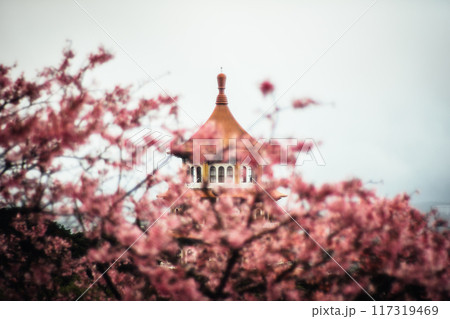 桜 さくら サクラ 117319469