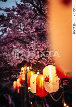 桜 さくら サクラ 117319568