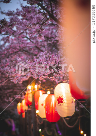 桜 さくら サクラ 117319569