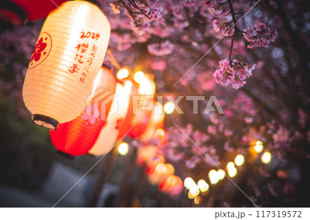 桜 さくら サクラ 117319572