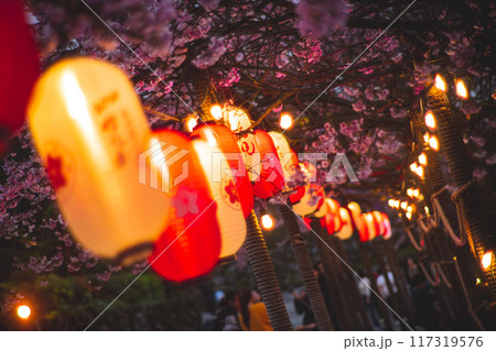 桜 さくら サクラ 117319576