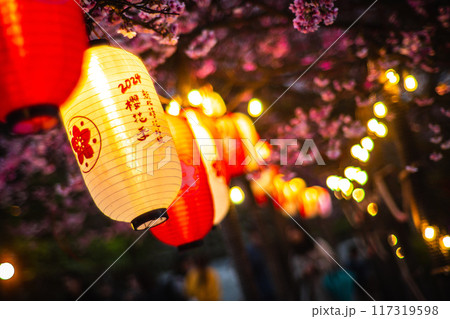 桜 さくら サクラ 117319598