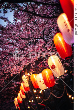 桜 さくら サクラ 117319599