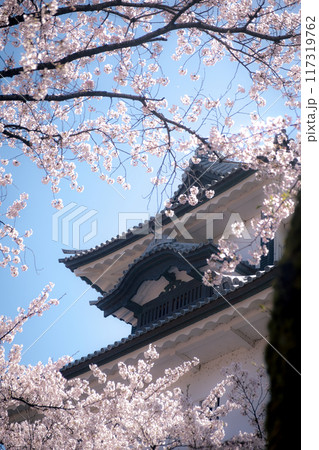 金沢城公園の満開の桜 117319762
