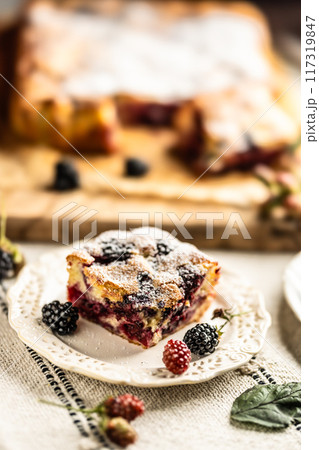 Fresh and hot blackberry cake made of blackberries, flour and eggs. Vegan fruit sponge cake 117319847