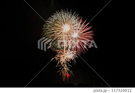 第73回亀岡平和祭保津川市民花火大会 117320012