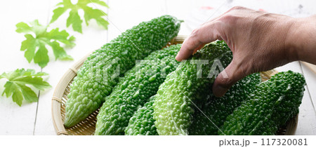 夏野菜 ゴーヤ (にがうり) 夏野菜 ゴーヤ (にがうり) 117320081