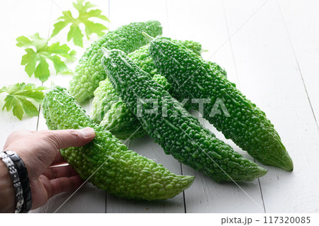 夏野菜 ゴーヤ （にがうり） 117320085
