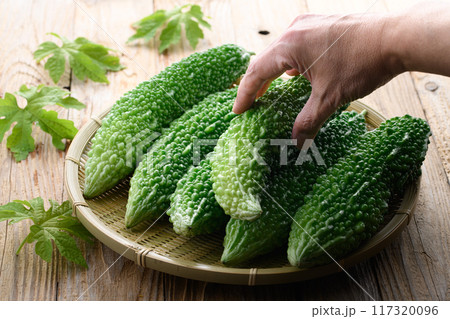 夏野菜 ゴーヤ （にがうり） 117320096