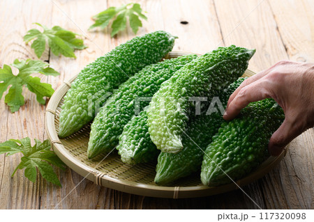 夏野菜 ゴーヤ (にがうり) 夏野菜 ゴーヤ (にがうり) 117320098