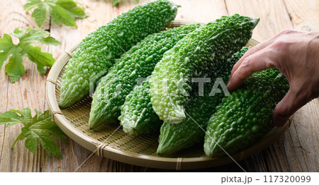 夏野菜 ゴーヤ （にがうり） 117320099