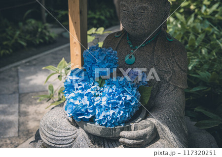 青い紫陽花を抱えるお地蔵さん（鎌倉・明月院） 117320251