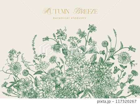Card with summer and autumn flowers. Dahlias, zinnias, asters, dogwood berries, maiden vine. Floral horizontal border. Vector botanical illustration. Vintage style. Green. 117320267