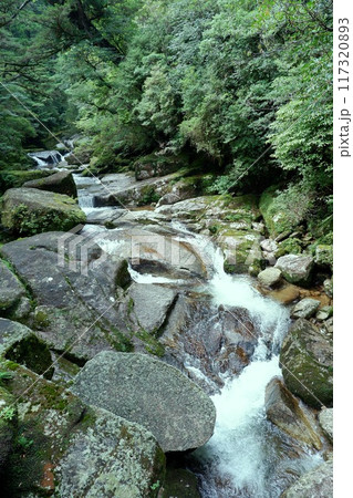 岩を流れる川 117320893