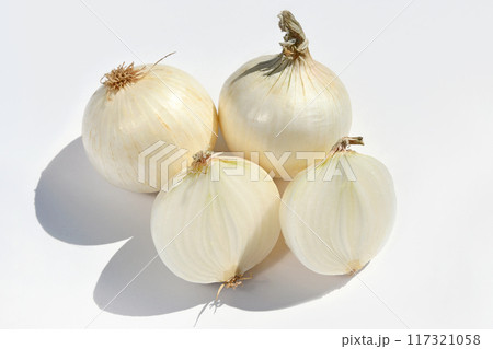 玉ねぎ（真白） 117321058