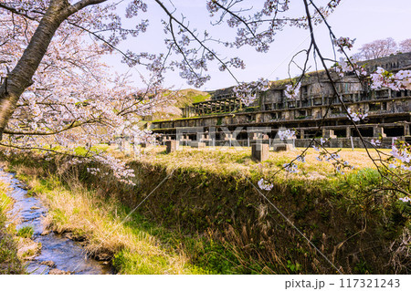 【新潟県_佐渡金山】佐渡島 北沢浮遊選鉱場跡 春 【新潟県_佐渡金山】佐渡島 北沢浮遊選鉱場跡 春 117321243
