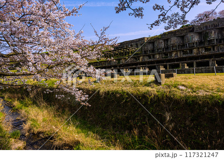 【新潟県_佐渡金山】佐渡島 北沢浮遊選鉱場跡 春 【新潟県_佐渡金山】佐渡島 北沢浮遊選鉱場跡 春 117321247