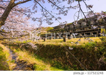 【新潟県_佐渡金山】佐渡島 北沢浮遊選鉱場跡 春 【新潟県_佐渡金山】佐渡島 北沢浮遊選鉱場跡 春 117321248