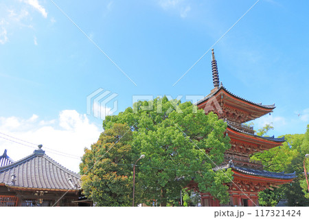 愛知県あま市、甚目寺三重塔の風景 愛知県あま市、甚目寺三重塔の風景 117321424