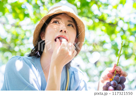 ぶどう狩りをする女性 果物狩りをする女性 ぶどう狩りをする女性 果物狩りをする女性 117321550