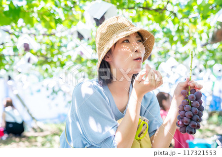 ぶどう狩りをする女性　果物狩りをする女性 117321553