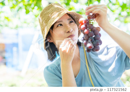 ぶどう狩りをする女性 果物狩りをする女性 ぶどう狩りをする女性 果物狩りをする女性 117321562