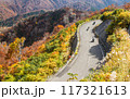 新潟県魚沼市・枝折峠　紅葉のバイクツーリング 117321613