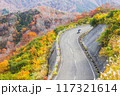 新潟県魚沼市・枝折峠　紅葉のバイクツーリング 117321614