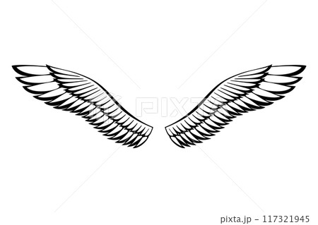 Wings sketch. Stylized birds wings. Hand drawn contoured stiker wing in open position. Vector design elements in coloring style 117321945