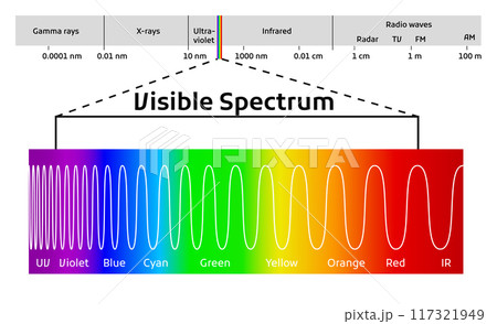 Spectrum wavelength. Visible spectrum color range. Educational physics light line. Wavelengths of the visible part of the spectrum for human eyes 117321949
