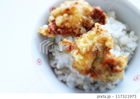 唐揚げご飯 唐揚げご飯 117321975